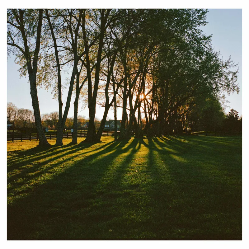 Film photo shot on Kodak Portra 400 with a Rolleiflex 6008 Integral, by Cory Bosworth
