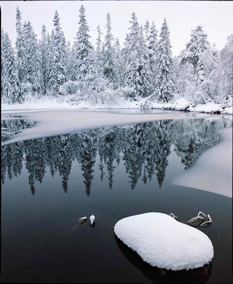 First snow shot on Kodak Portra 800 with a Mamiya RB67 Pro S, developed at Oslo Foto, by Daniel Korslund