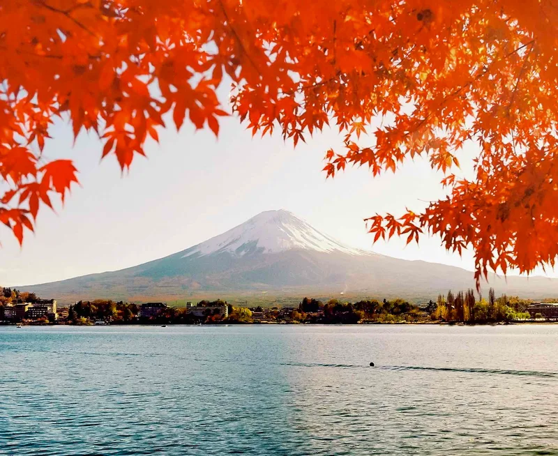 Fuji-san x Momiji shot on Kodak Portra 800 with a Mamiya 7, developed at Champ Camera, by Nicholas Smith