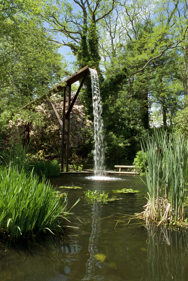 A splash shot on Cinestill 50D with a Minolta Maxxum 7000, developed at Hunt’s Photo & Video, by Evan Land