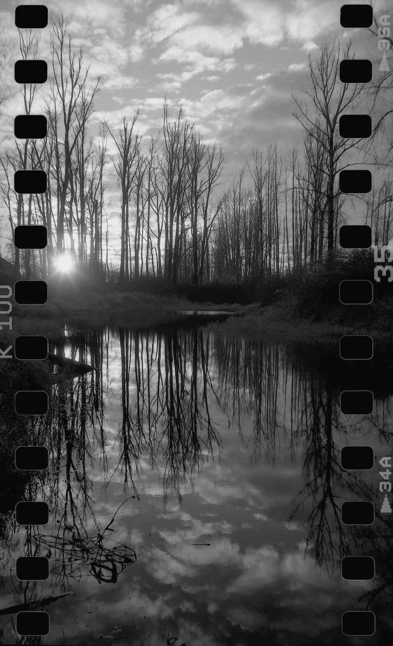 Reflecting shot on Ilford Kentmere Pan 100 with a Mamiya C330s Professional, by PhotoBob