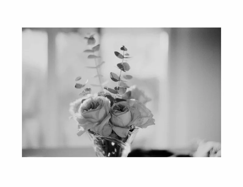 Day flowers shot on Rollei Retro 100 with a Leica M5, developed at Home / Self-Developed, by Evan