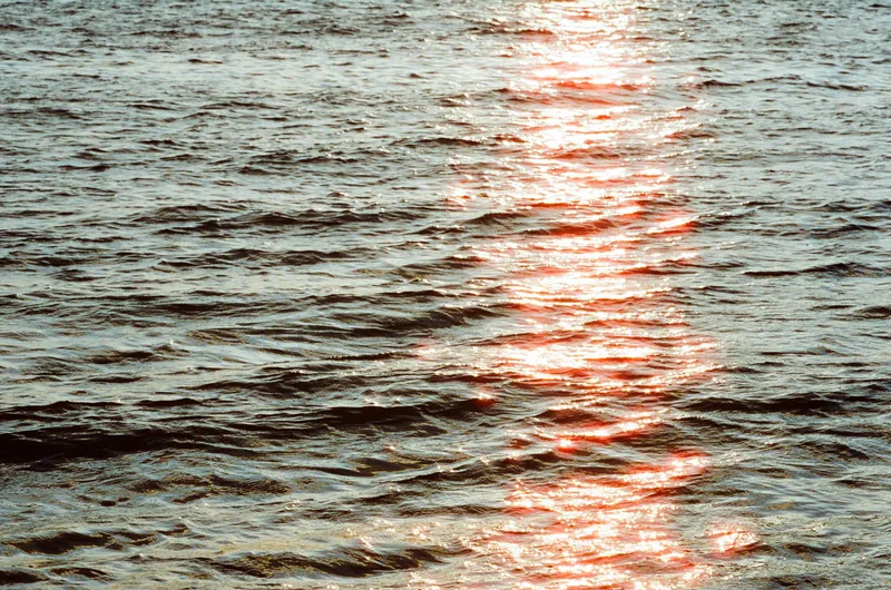 Sunset shot on Cinestill 400D with a Canon AE-1 Program, developed at Kenmore Camera Photo Lab, by Camilla