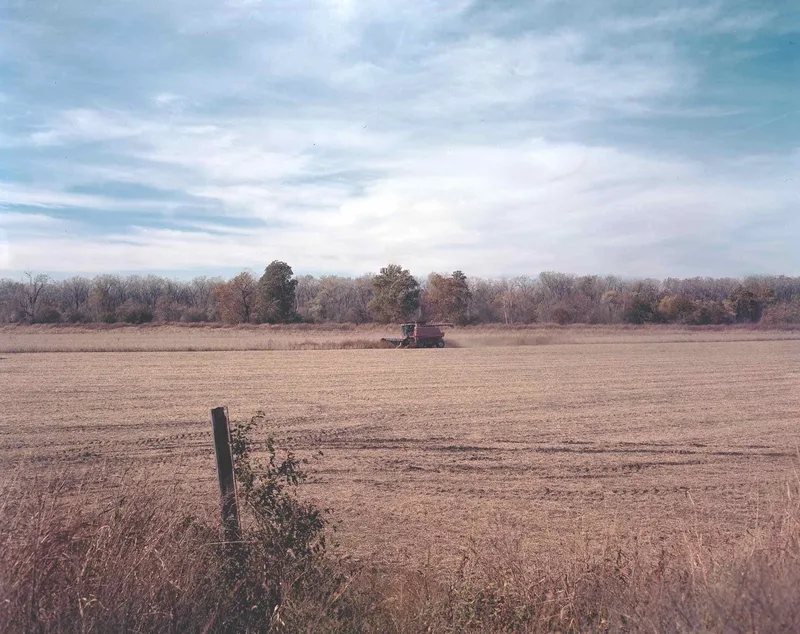 Harvest shot on Kodak Ektar 100 with a Graphlex CrownGraphic, developed at Home / Self-Developed, by Bryan
