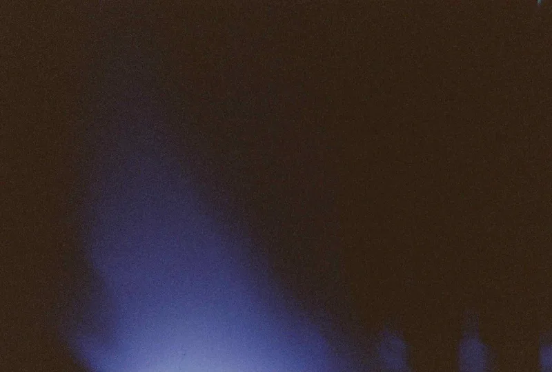 Film photo shot on Hundred Eight Hundred with a Yashica J5, by elosie