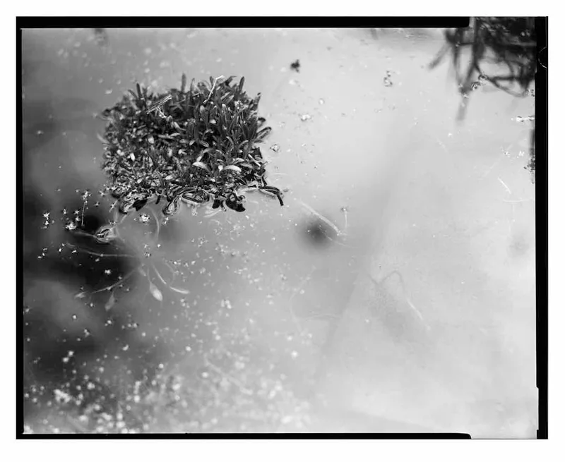 Abstract 5x4 shot on Foma Fomapan 200 Creative with a Graflex Pacemaker Speed Graphic, developed at Home / Self-Developed, by Dave Woodhead