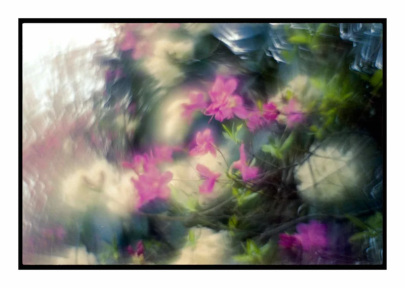 Helios Spring shot on Kodak Portra 160 with a Pentax LX, developed at Home / Self-Developed, by Stuart Leeds