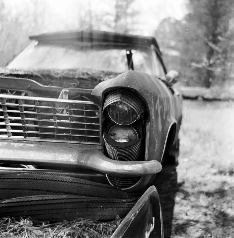 My battery is getting low shot on Foma Fomapan 100 Classic with a Lubitel 166B, by Wsippelphoto