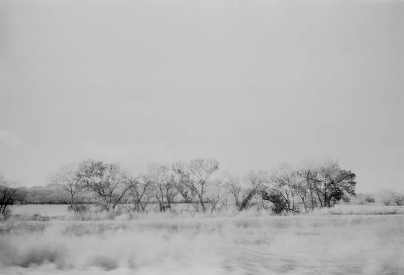 Bosque del Apache shot on Ilford HP5 Plus 400 with a Pentax Espio 928, developed at Home / Self-Developed, by Pieper Holeman