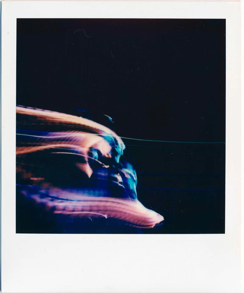 Film photo shot on Polaroid 600 with a Polaroid SX-70, by Ryan.L.Photography