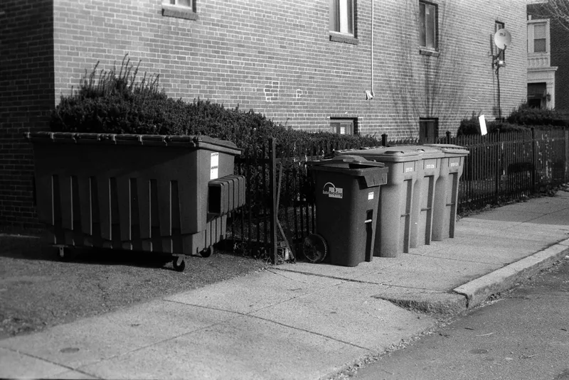 Film photo shot on Film Photography Project Film Love 200 with a Canon P, developed at Home / Self-Developed, by Cam Cavagnaro