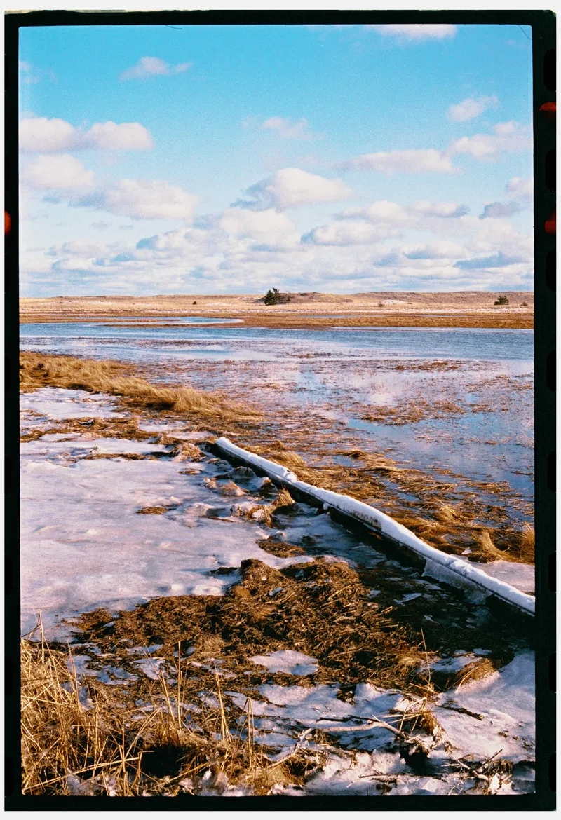 reid state park, georgetown, maine shot on Lucky C200 with a Leica M4, developed at Northeast Photographic, by Eric Wefald - Huang