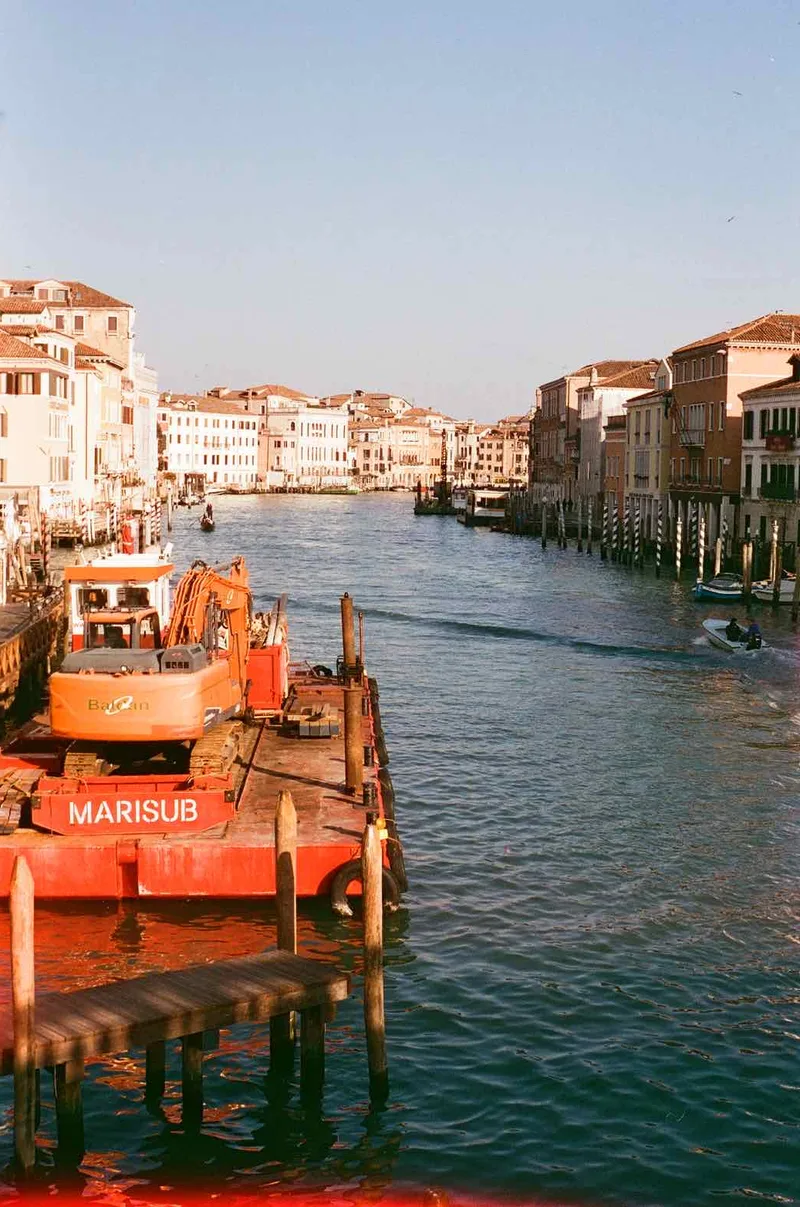 Film photo shot on Cinestill 400D with a Pentax P30, developed at The Film Safe, by alanna