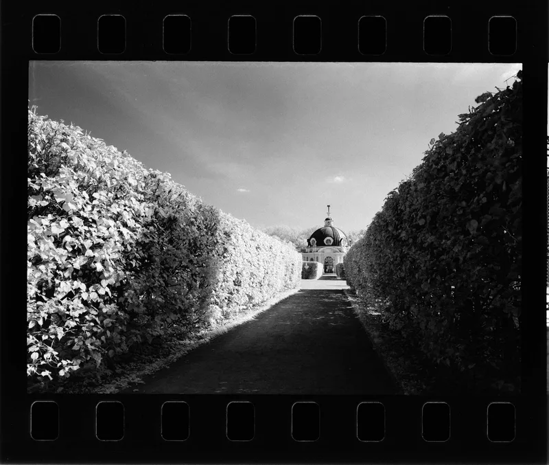 Film photo shot on Agfa Aviphot Pan 200 with a Nikkormat FTN, by Mike