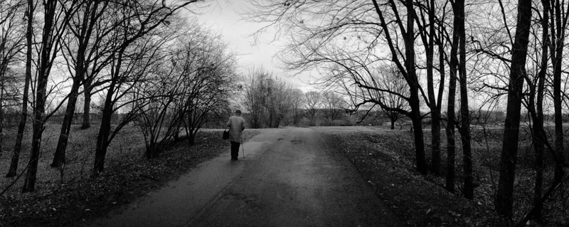 Film photo shot on Agfa APX 100 with a Horizon 202, by rafaln70