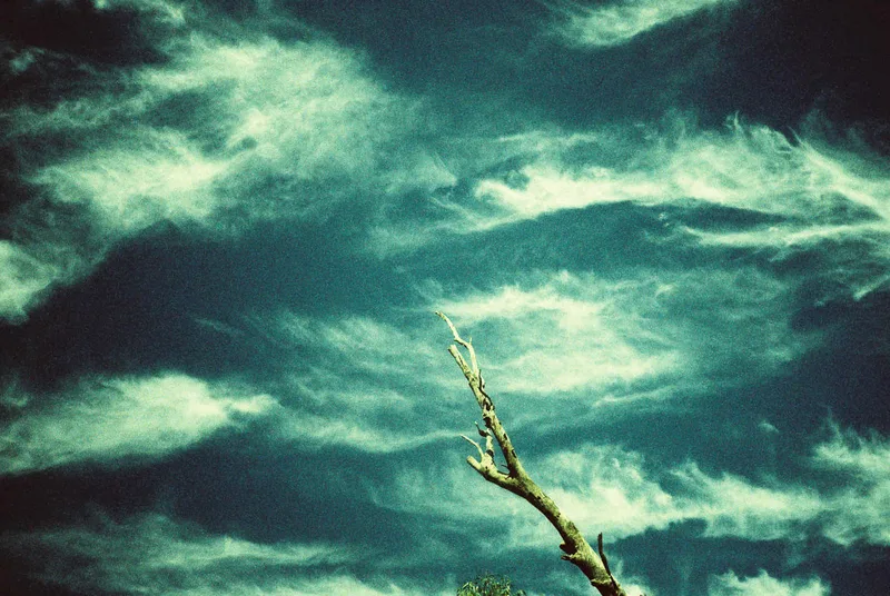 Reaching shot on Slide 200 with a Ricoh R1, by Matt