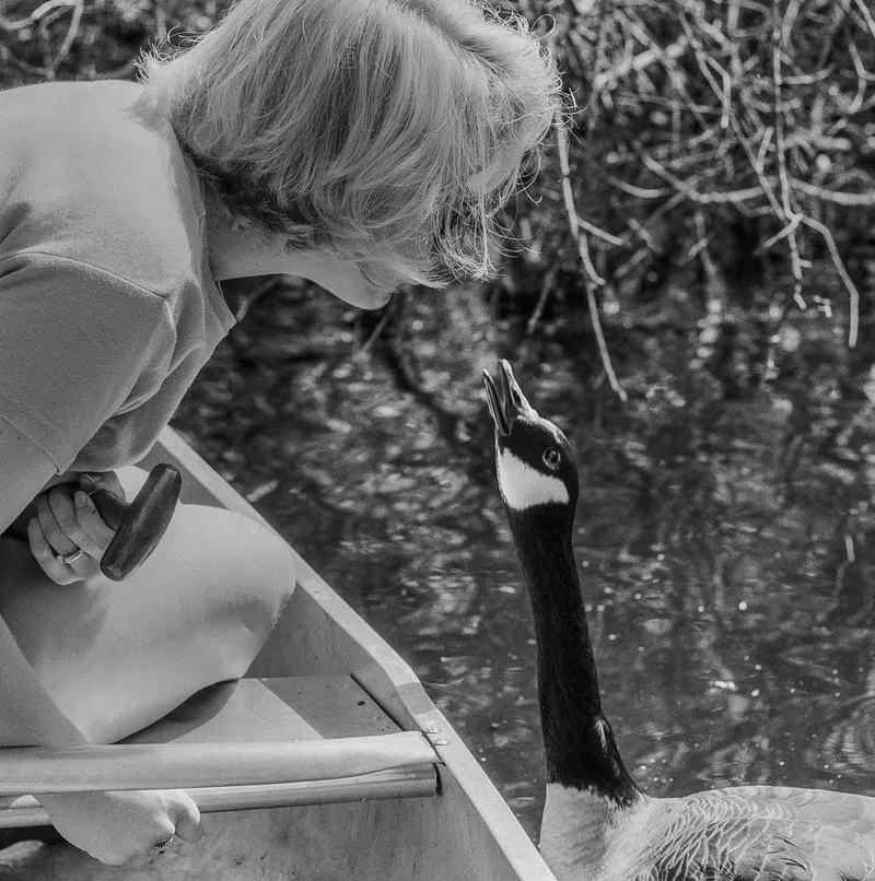 About to get bit. shot on Kodak T-Max 100 with a Nikon N8008s, developed at Ivey Seright, by Andy Keck