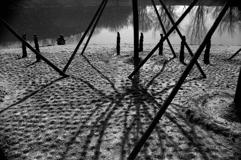 spider shadows🕷️ shot on Foma Fomapan 100 Classic with a Canon EOS10QD, developed at Home / Self-Developed, by jahre