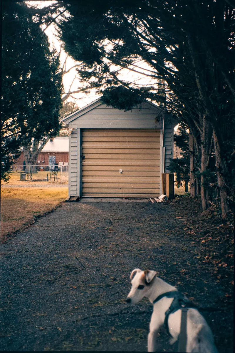 Shed shot on Fujifilm FujiColor C200 with a Canon AE-1Program, developed at Camera’s Etc., by Ken