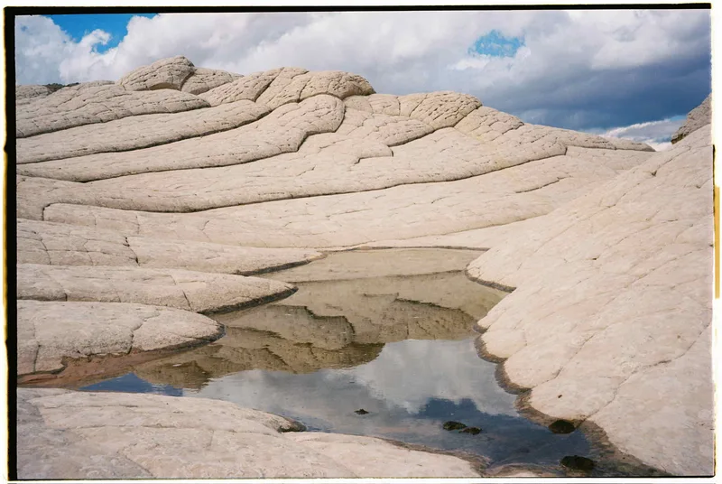 Film photo shot on Kodak Ektar 100 with a Pentax IQZoom, developed at theFINDlab, by indya ◡̈