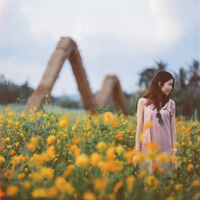 Khao Yai shot on Cinestill 800T with a Hasselblad 203FE, developed at LERT’s, by LERT’s