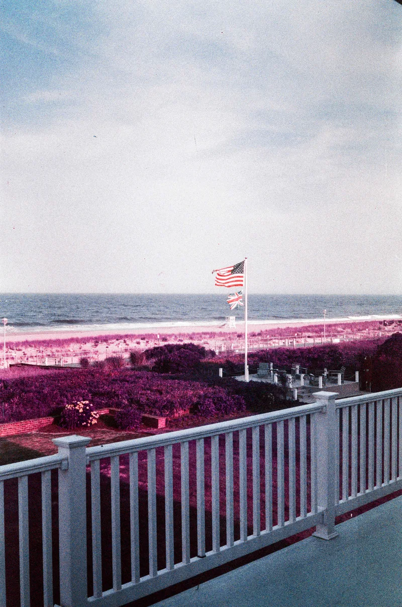 Film photo shot on Lomography LomoChrome Purple 100 with a Canon Canonet G-III QL17, developed at Little Light Film Lab, by Ryan