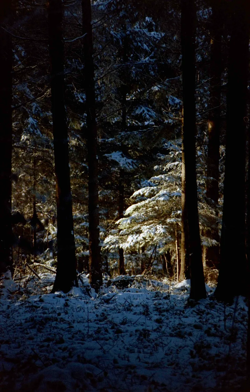 Wintersun shot on Kodak Portra 400 with a Minolta SR-T 303, developed at Foto Zumstein Zürich, by Aderin