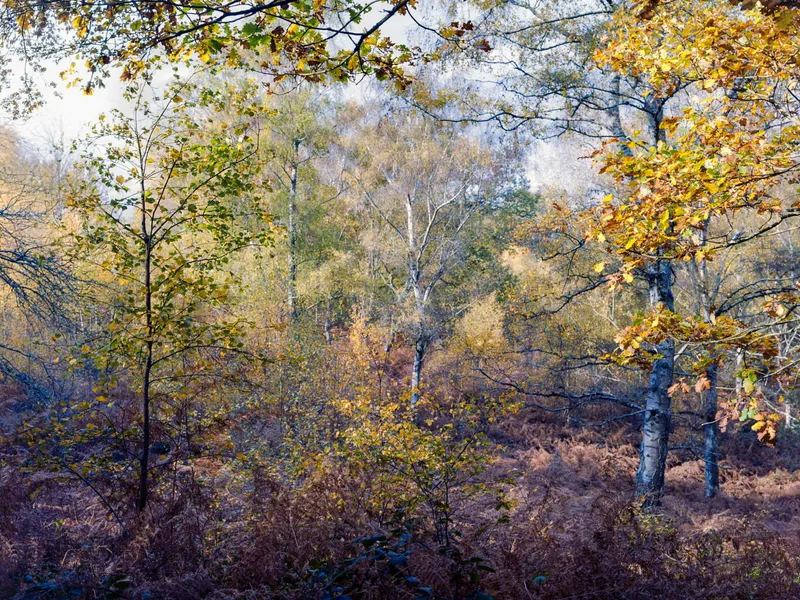 Ektar Colours shot on Kodak Ektar 100 with a Zenza Bronica ETRSi, developed at Home / Self-Developed, by Stuart Leeds