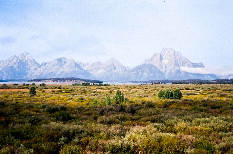 Wild plain shot on Fujifilm Superia X-TRA 400 with a Minolta Freedom Zoom 70, by Katelin