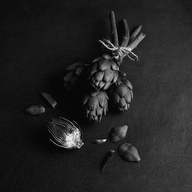 Artichauts shot on Lomography Potsdam Kino BW 100 with a Hasselblad 500CM, by Cyril b.