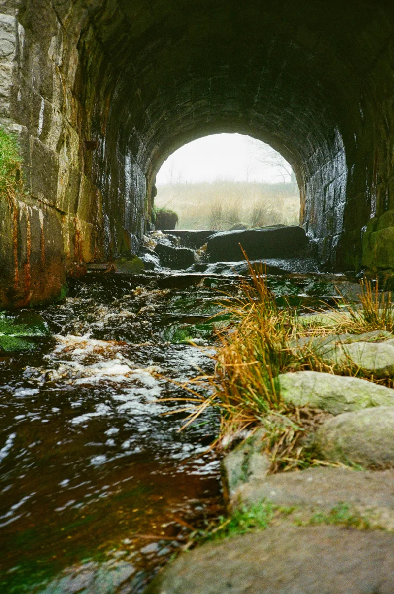 Under the bridge shot on Kodak UltraMax 400 with a Nikon L35AF, developed at Take It Easy, by Guesty