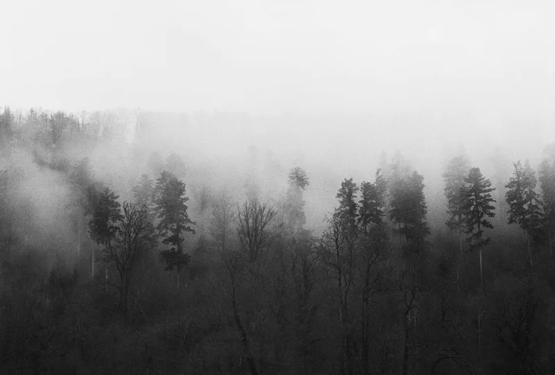Is Twin Peaks far away? shot on Agfa APX 400 with a Praktica MTL3, developed at Home / Self-Developed, by Tom Linkr