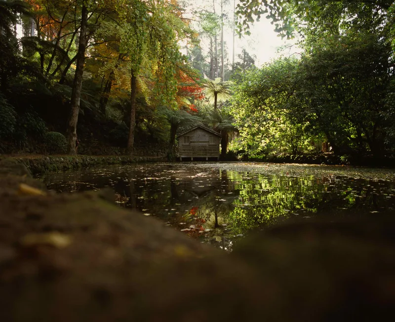 Film photo shot on Fujifilm Velvia 100 with a Mamiya RZ67, by Ying