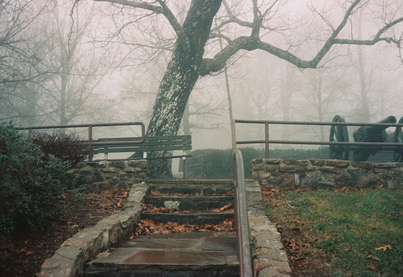 Film photo shot on Kodak Portra 400 with a Yashica Electro35GL, developed at Boutique Film Lab, by Gaby Salinas