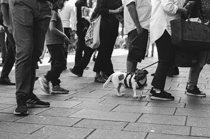 Helpless shot on Kodak Tri-X 400 with a Leica M2, developed at Cyberlab, by Markus Hofstätter