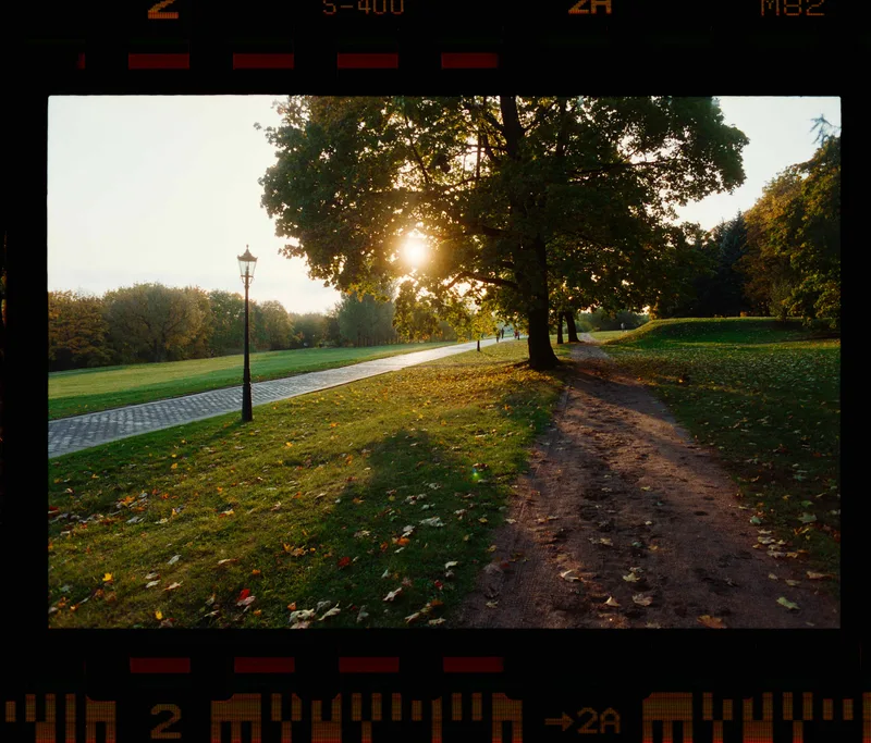 Film photo shot on Fujifilm Superia X-TRA 400 with a Nikkormat FTN, by Mike
