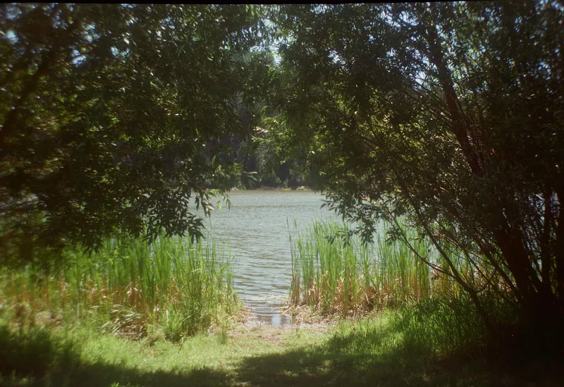 Spring Valley Reservoir; Troy, Idaho shot on Cinestill 400D with a Kodak Brownie No. 2, developed at The DarkRoom, by Fletcher Todd