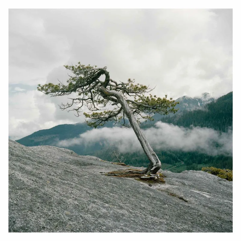 Lonetree Hill shot on Kodak Portra 400 with a Yashica A, developed at The Lab, by Simon