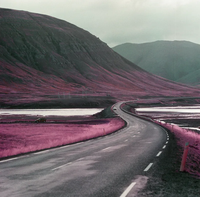 Long road home shot on Lomography LomoChrome Purple 100 with a Hasselblad 500CM