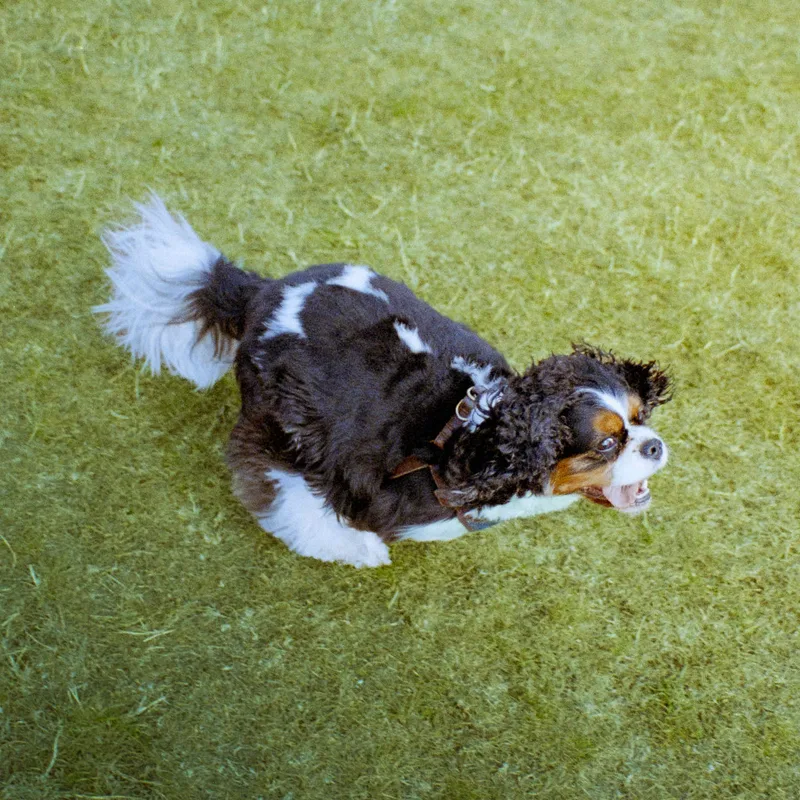 Fast Bubble shot on Kodak Portra 400 with a Minolta Dynax 5, developed at AG Photolab, by Alex Hewitt