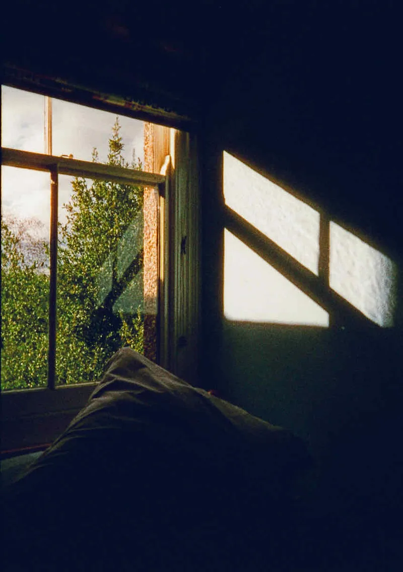 Film photo shot on Harman Phoenix 200 with a KodakReto EktarH35N, developed at Analogue Wonderland, by Anne M