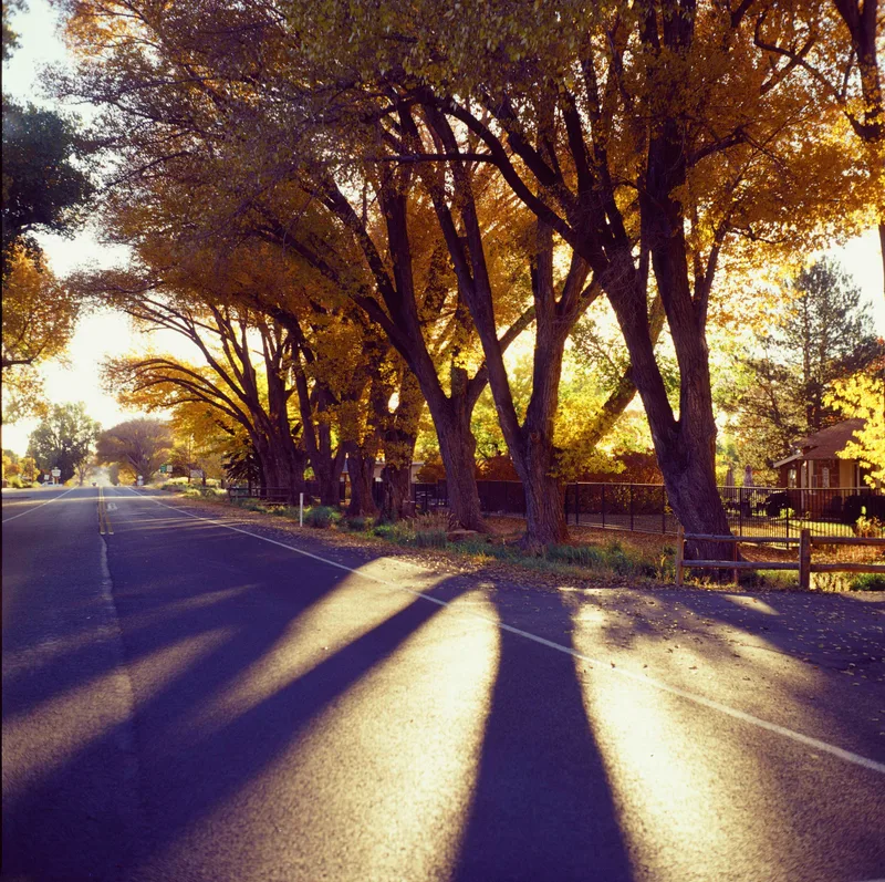 Film photo shot on Kodak Ektachrome 100VS with a Yashica Mat 124G, developed at Essential Photo Supply, by Robert Sagers