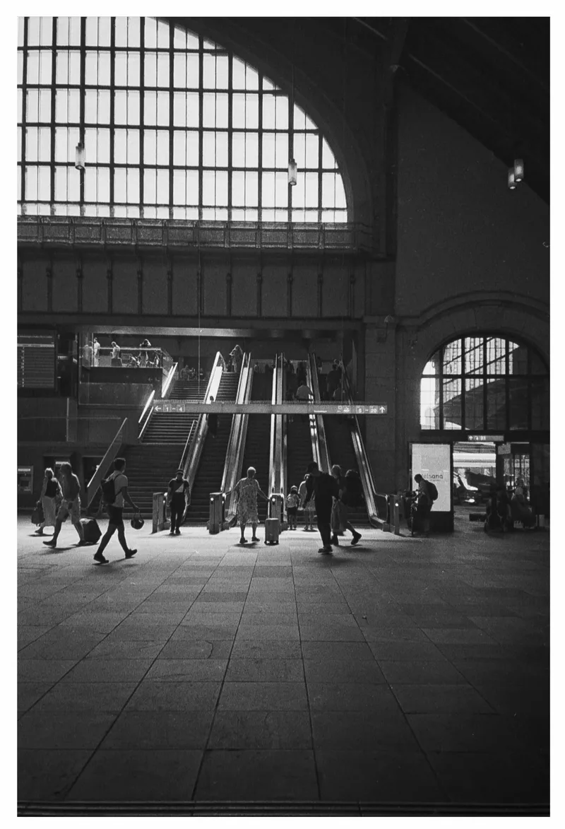 Film photo shot on Ilford Kentmere Pan 400 with a Yashica T4 Zoom, developed at Home / Self-Developed, by wholegrain