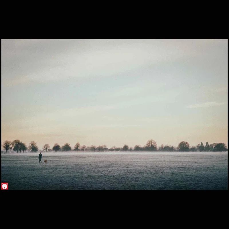Frosty Vista shot on Kodak Portra 160 with a Olympus XA, developed at Bristol Cameras, by G_dog_photo