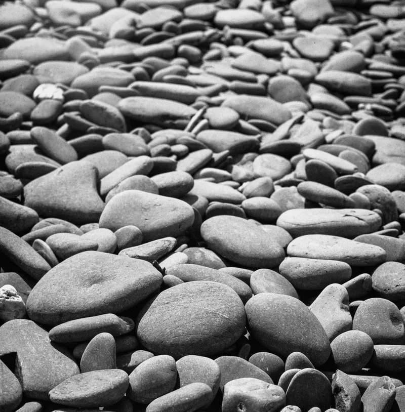 Pebbles on a beach shot on Ilford Ortho Plus 80 with a Hasselblad 503CX, developed at SilverPan, by James Greenoff-Cairns