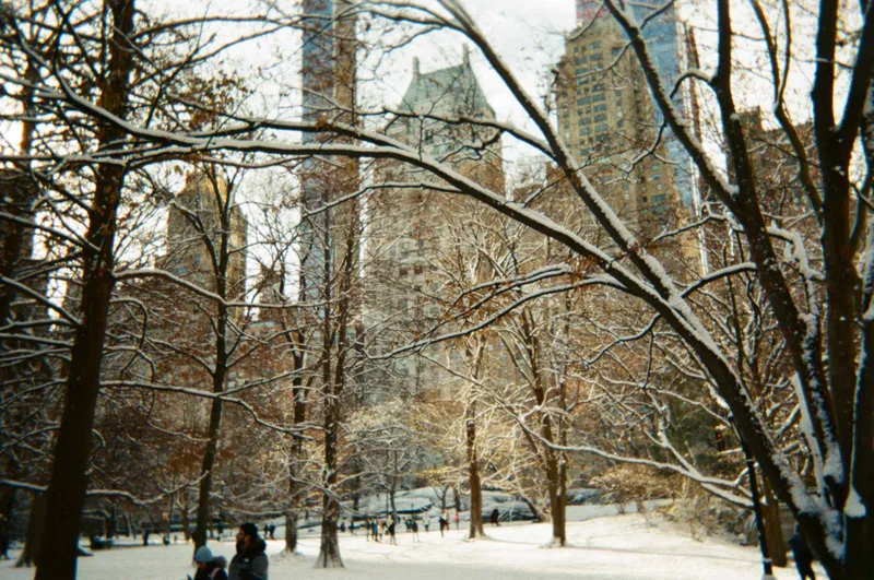 central park snow shot on Fujifilm Pro 400H with a Fujifilm QuickSnap, by julia
