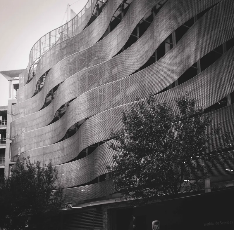 Film photo shot on Kodak Tri-X 400 with a Yashica C, developed at Fort Worth Camera, by Tom
