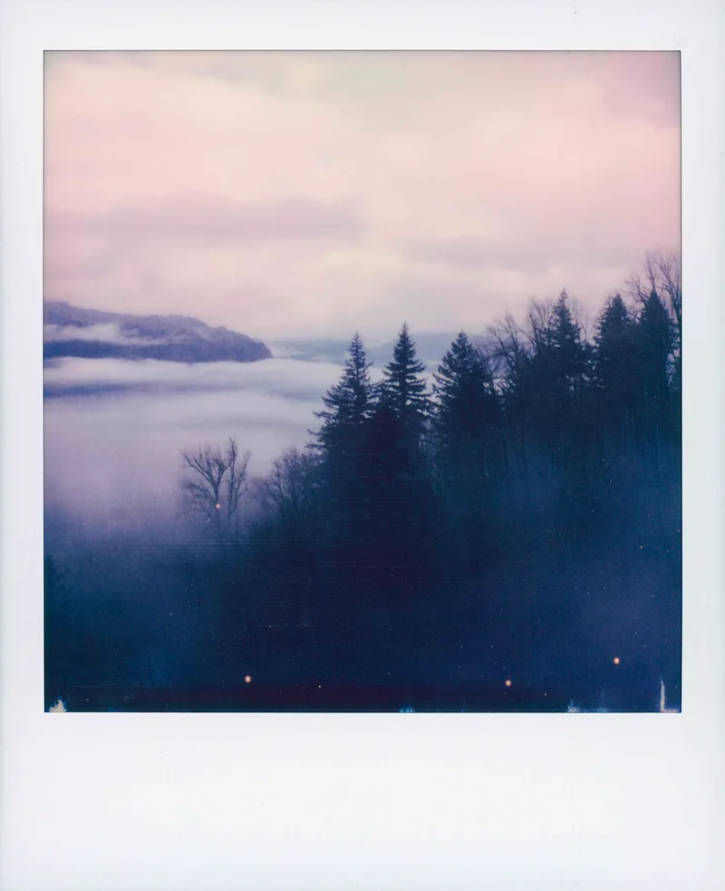 Columbia River Gorge shot on Polaroid 600 with a Polaroid SX-70 Alpha 1, by Jeremy Kruse