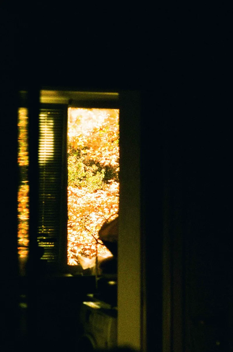 October is ablaze shot on Harman Phoenix 200 with a Pentax Program A, developed at Format FilmLab, by Alexander
