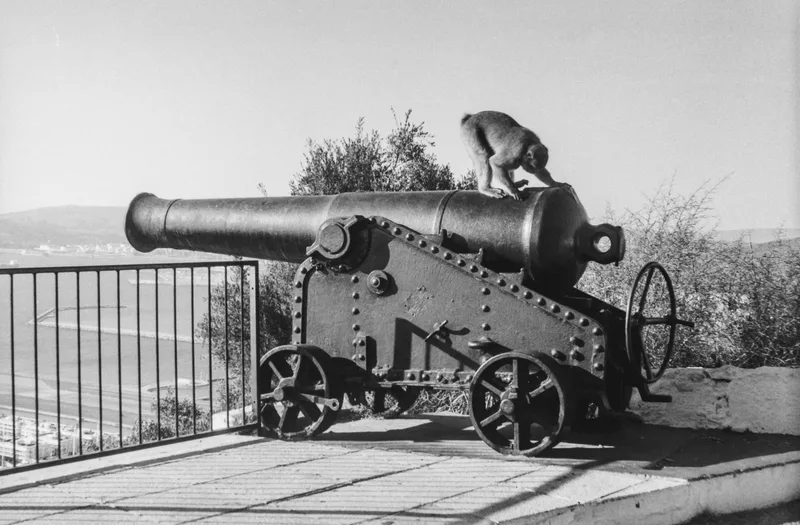 They’ll use any cheap labour for defence these days shot on Foma Fomapan 200 Creative with a FED 2, developed at Home / Self-Developed, by Mark Beadle